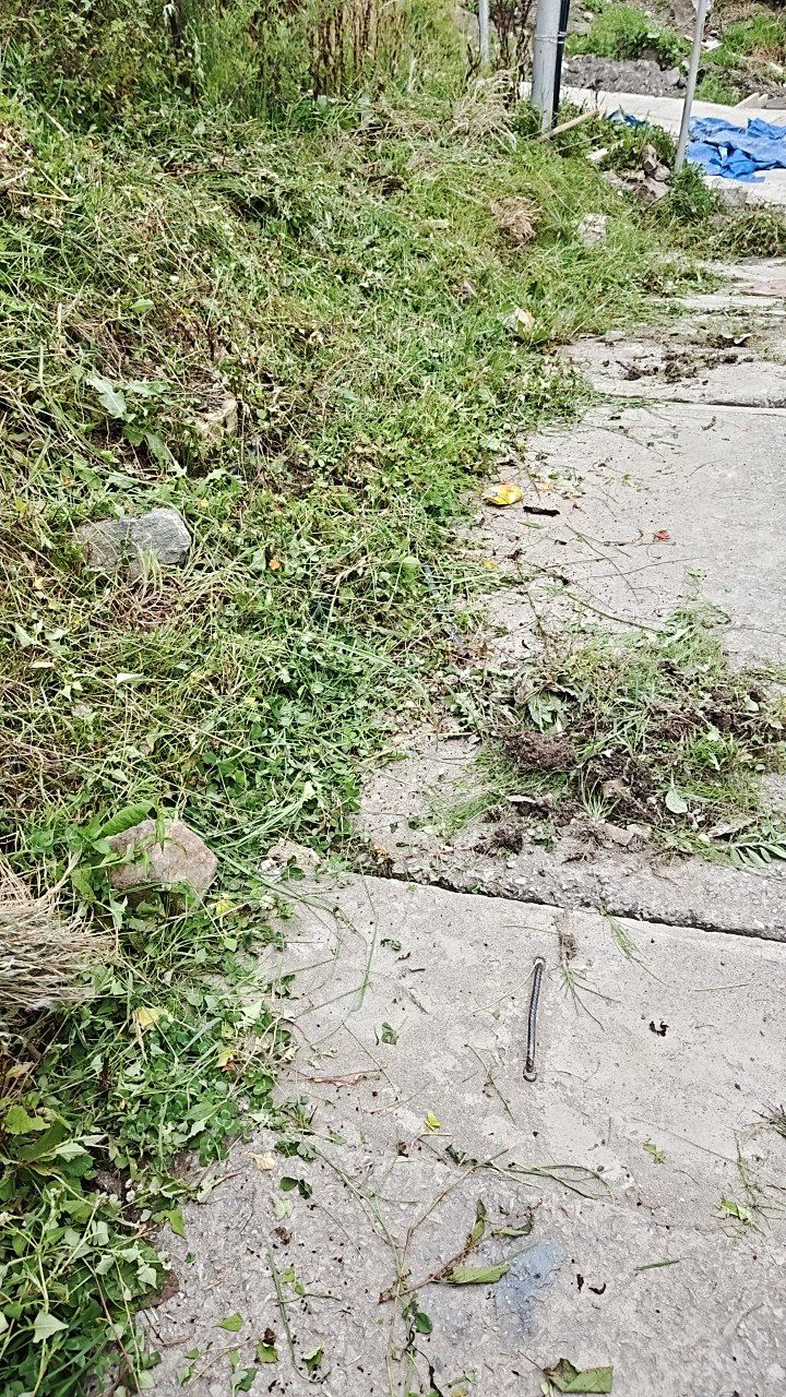 Before cleaning photo