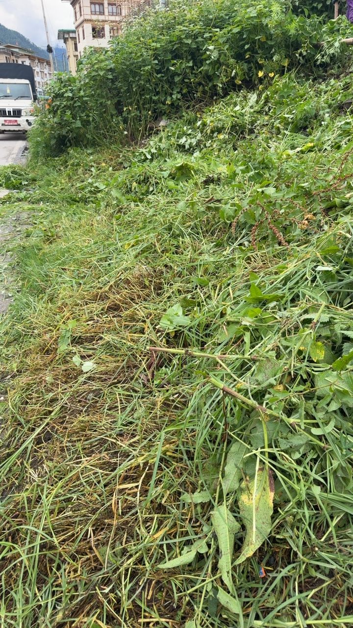 After cleaning photo