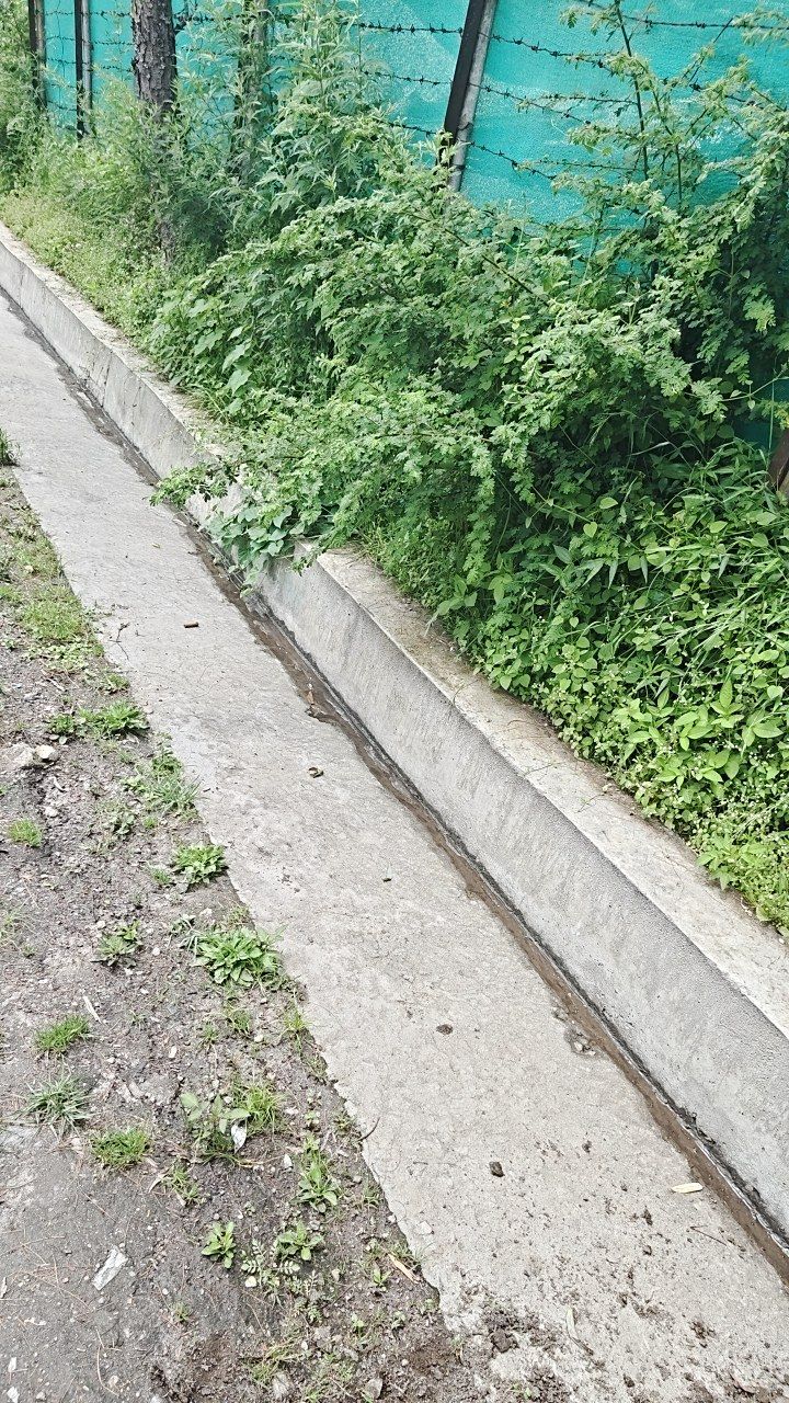 Before cleaning photo