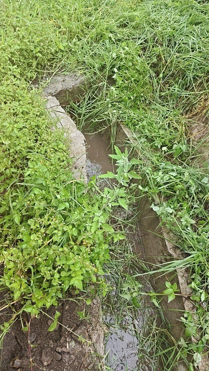 Before cleaning photo