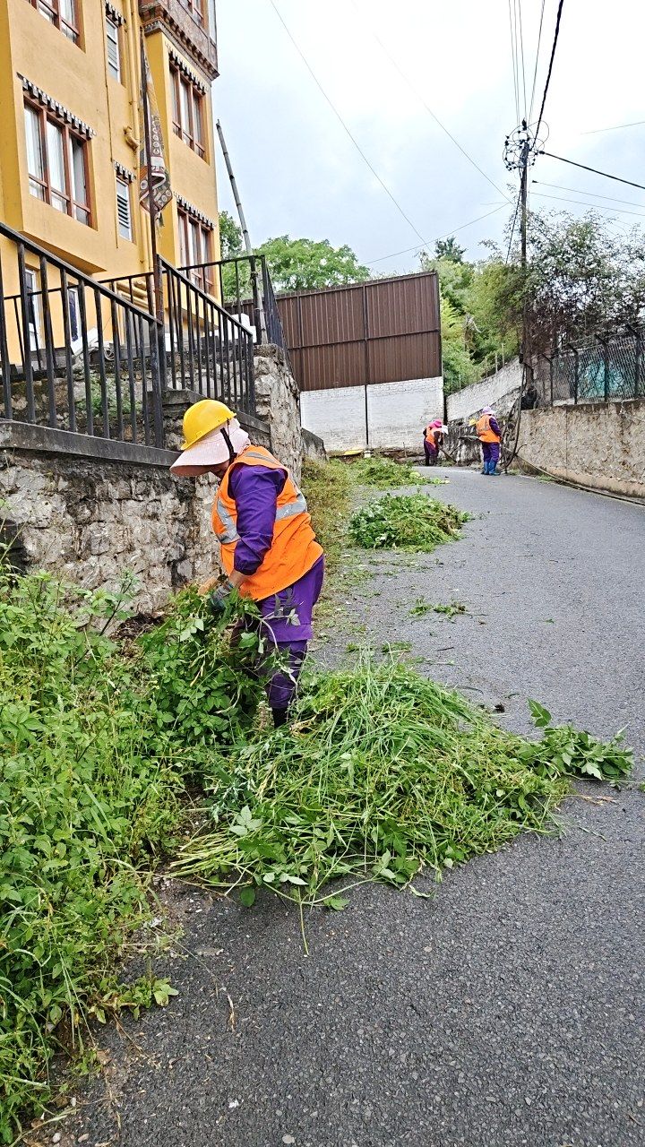 During cleaning photo