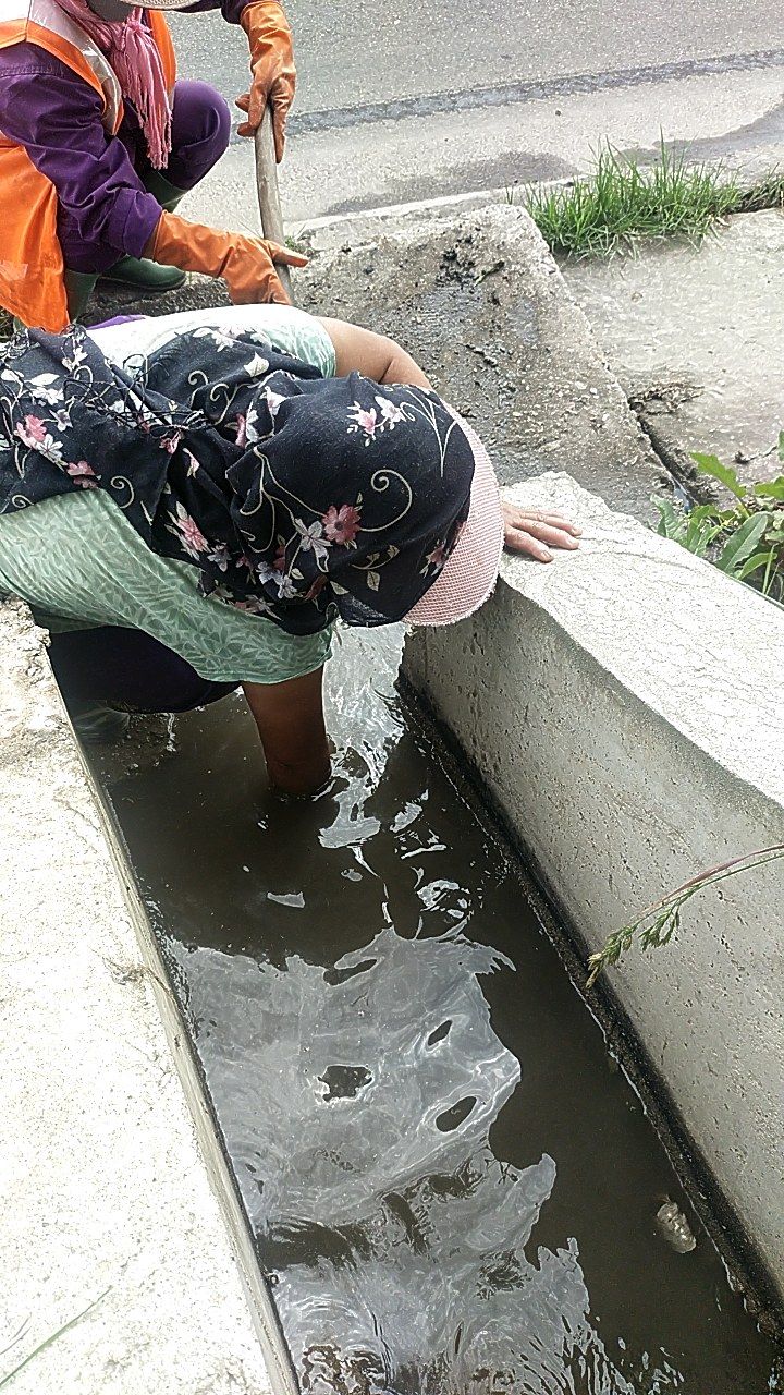 During cleaning photo