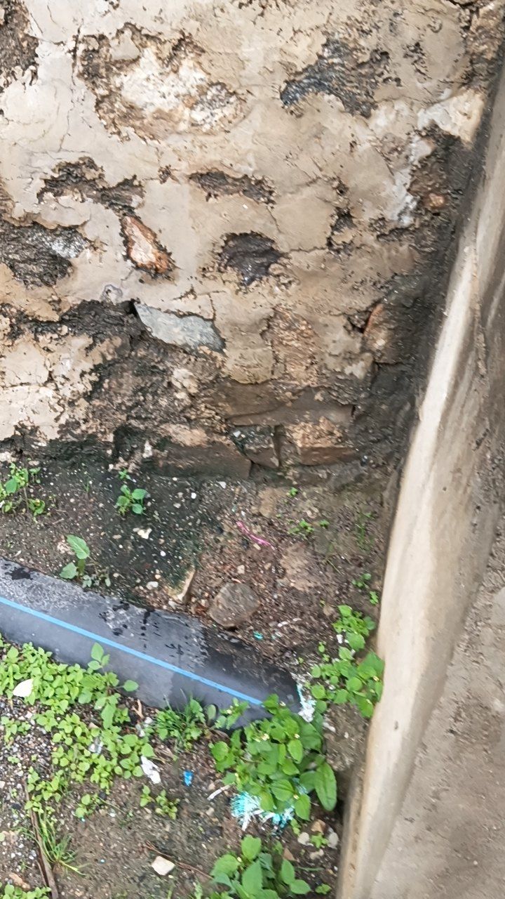 After cleaning photo
