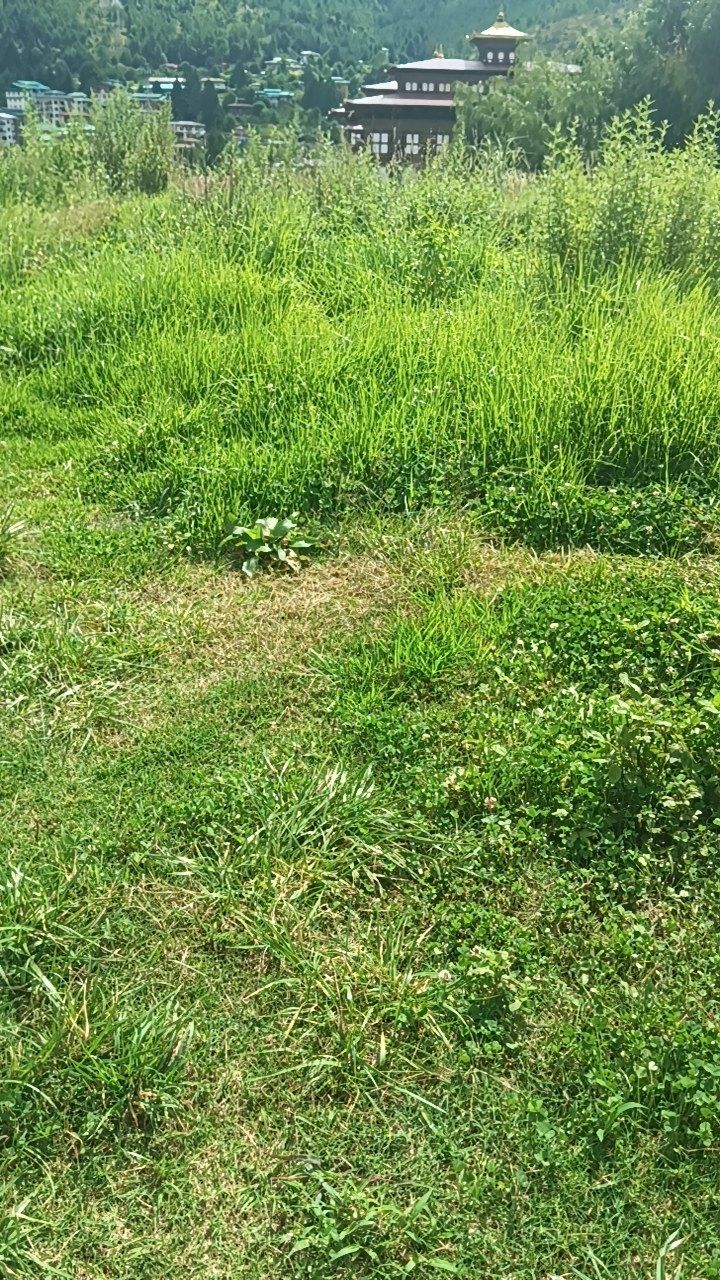 After cleaning photo