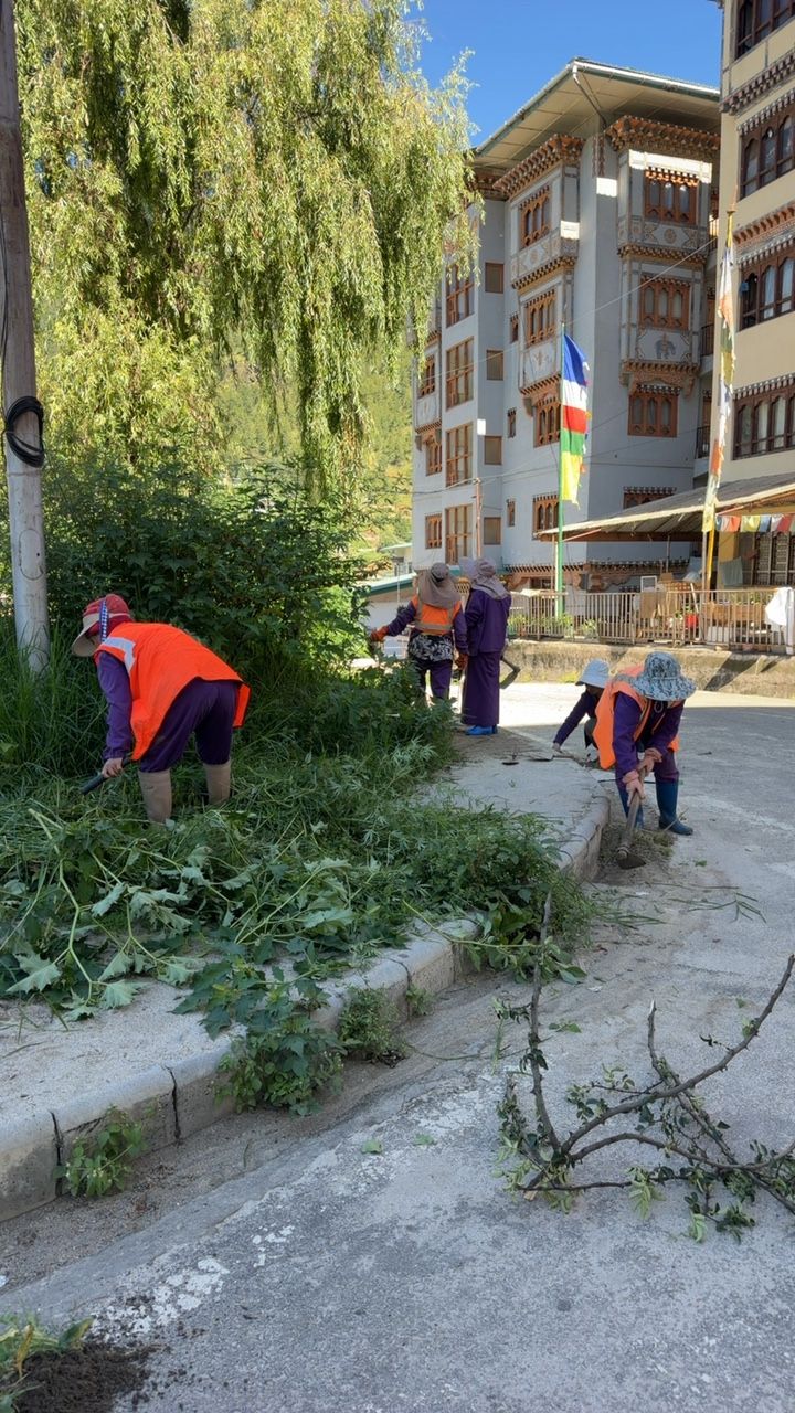 During cleaning photo