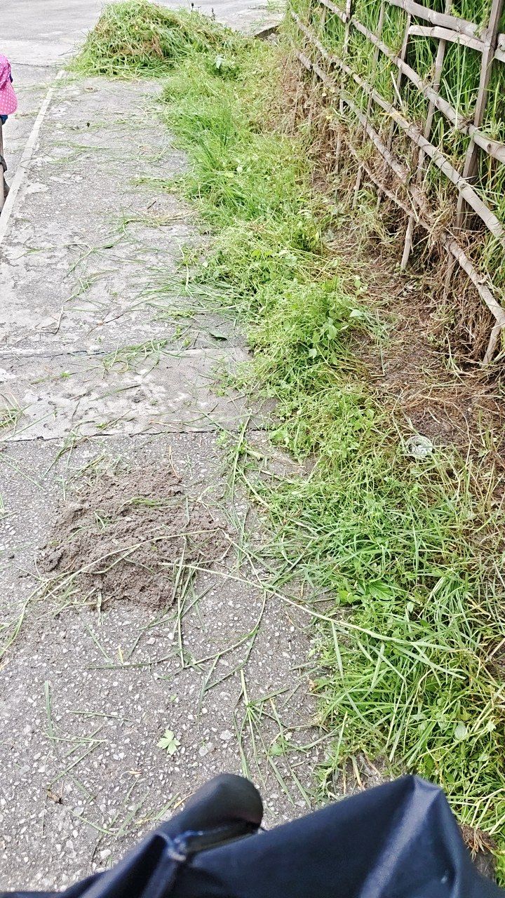 Before cleaning photo
