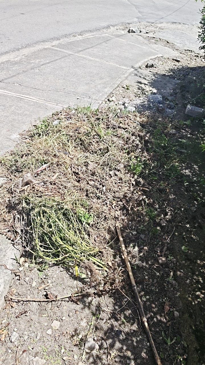 Before cleaning photo