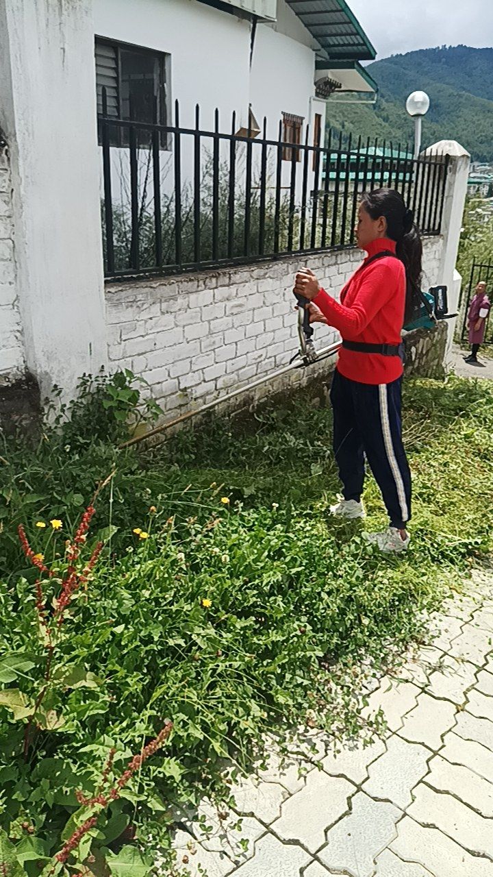 After cleaning photo