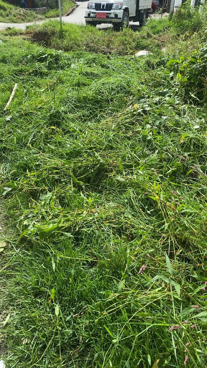 After cleaning photo
