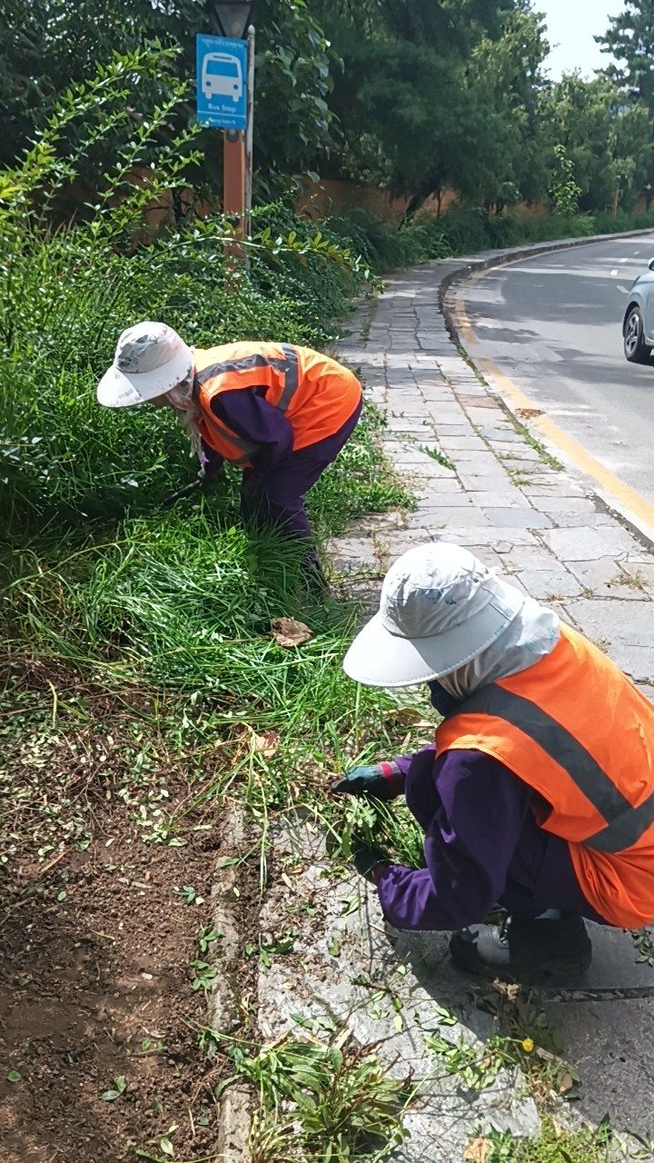 During cleaning photo
