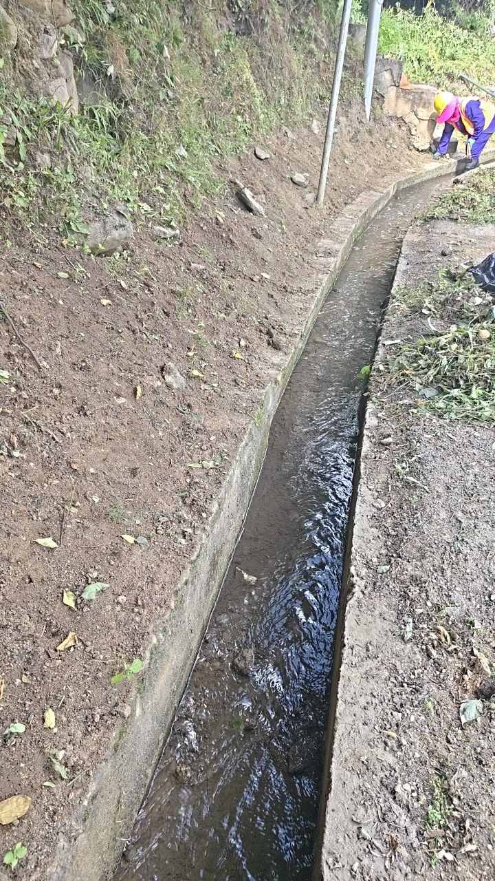 After cleaning photo