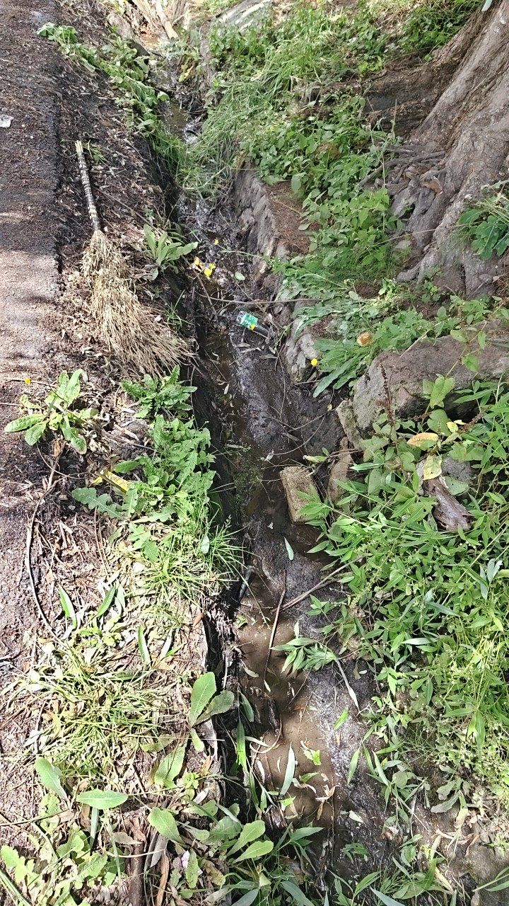 Before cleaning photo