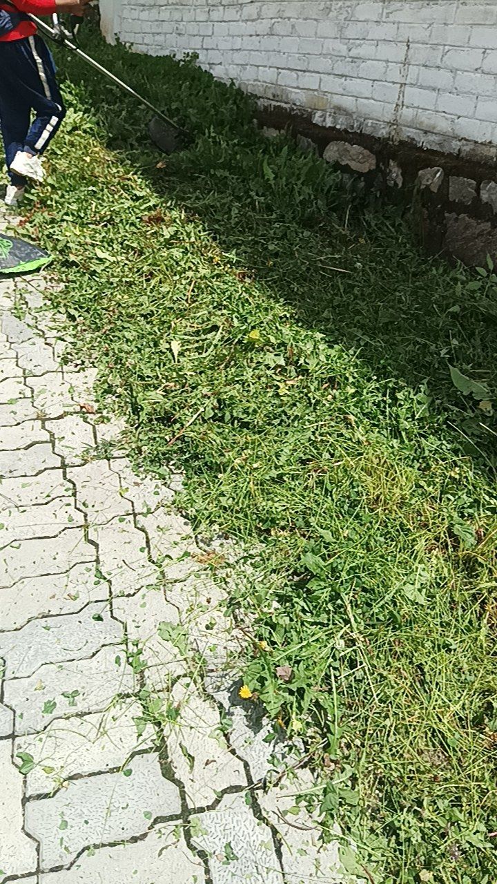 After cleaning photo