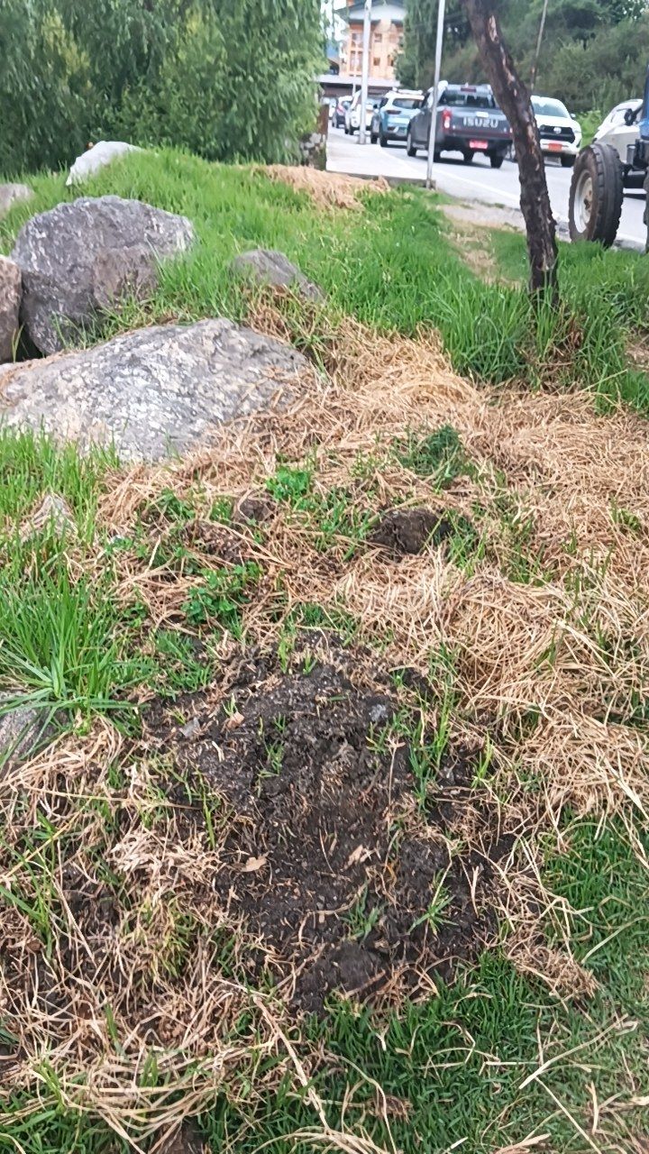 Before cleaning photo