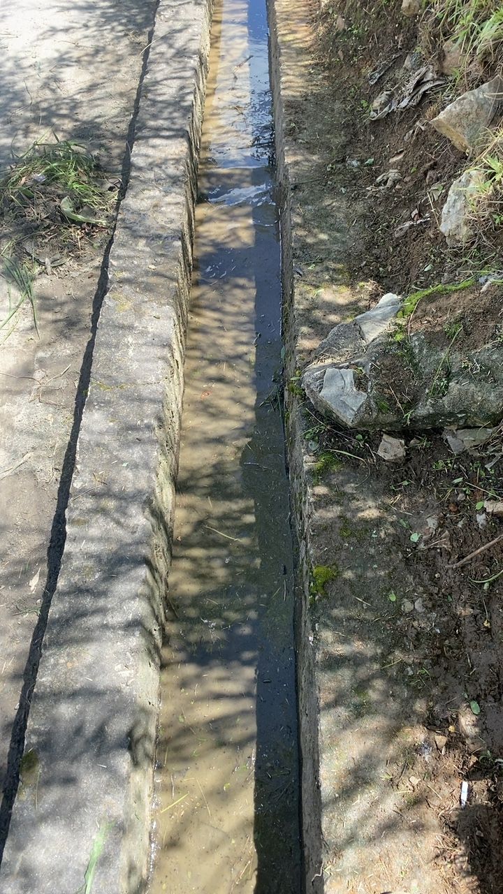 After cleaning photo