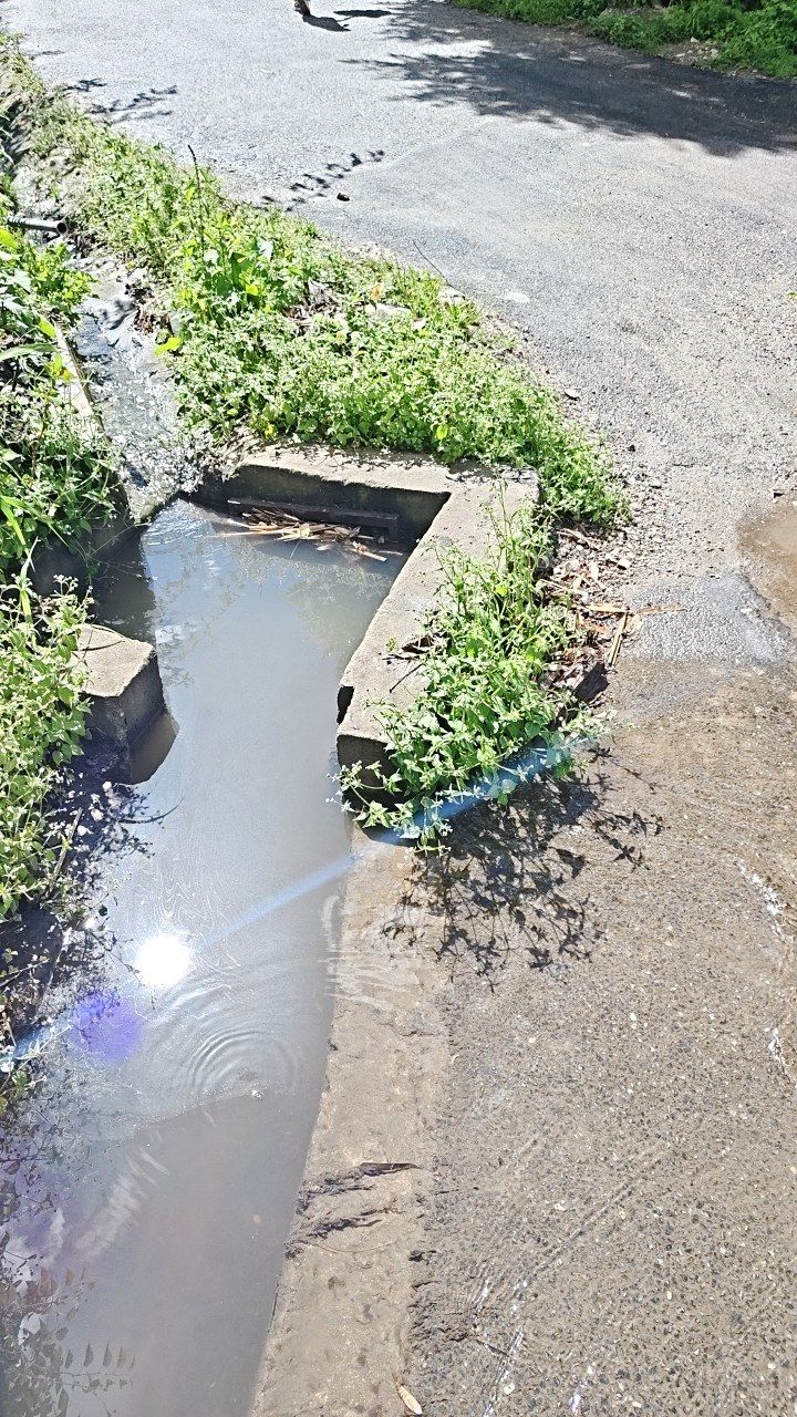 Before cleaning photo
