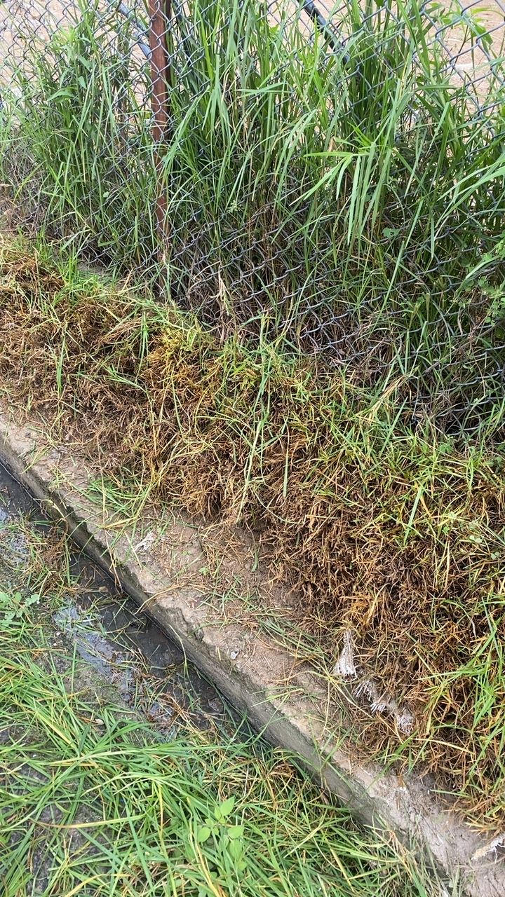 After cleaning photo