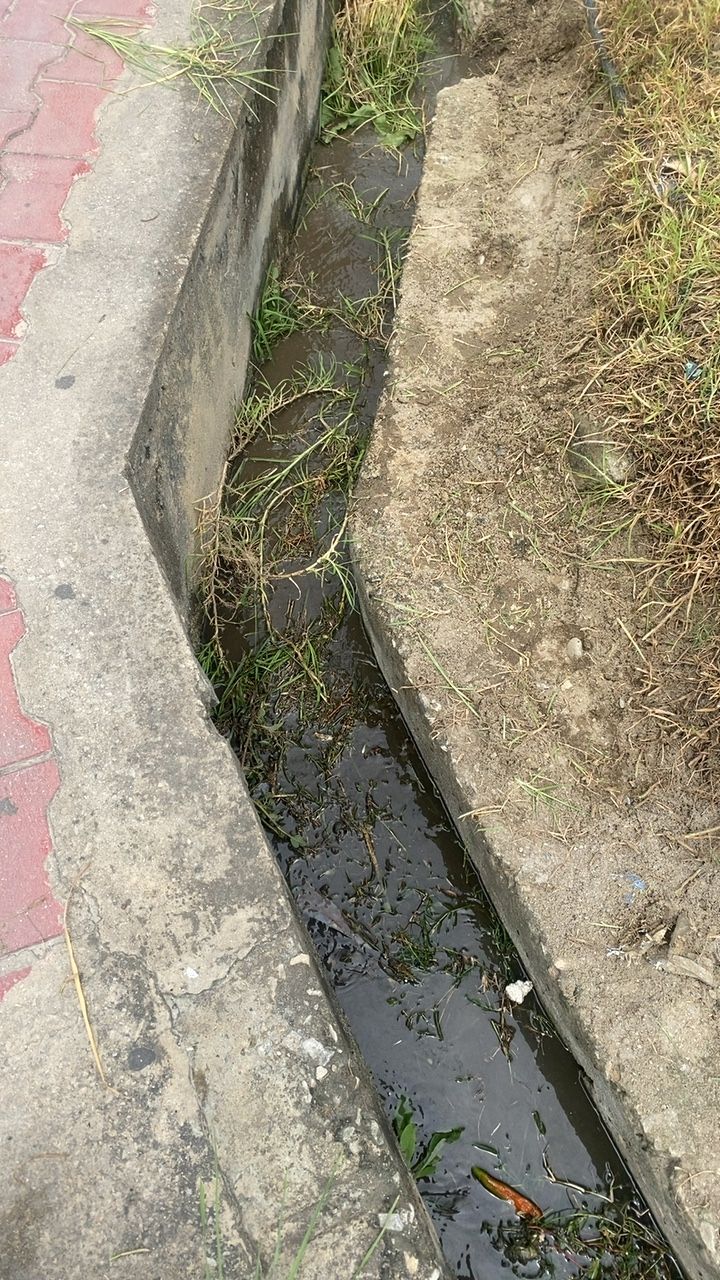 Before cleaning photo
