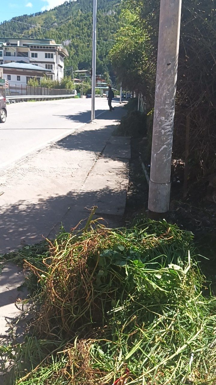 Before cleaning photo