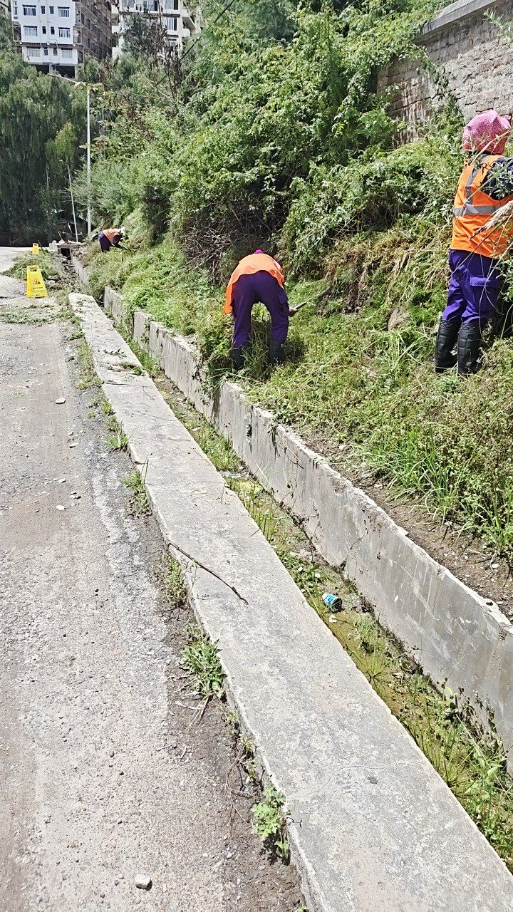 During cleaning photo