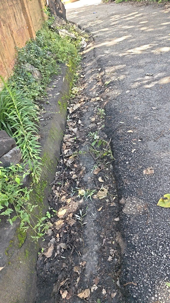 Before cleaning photo