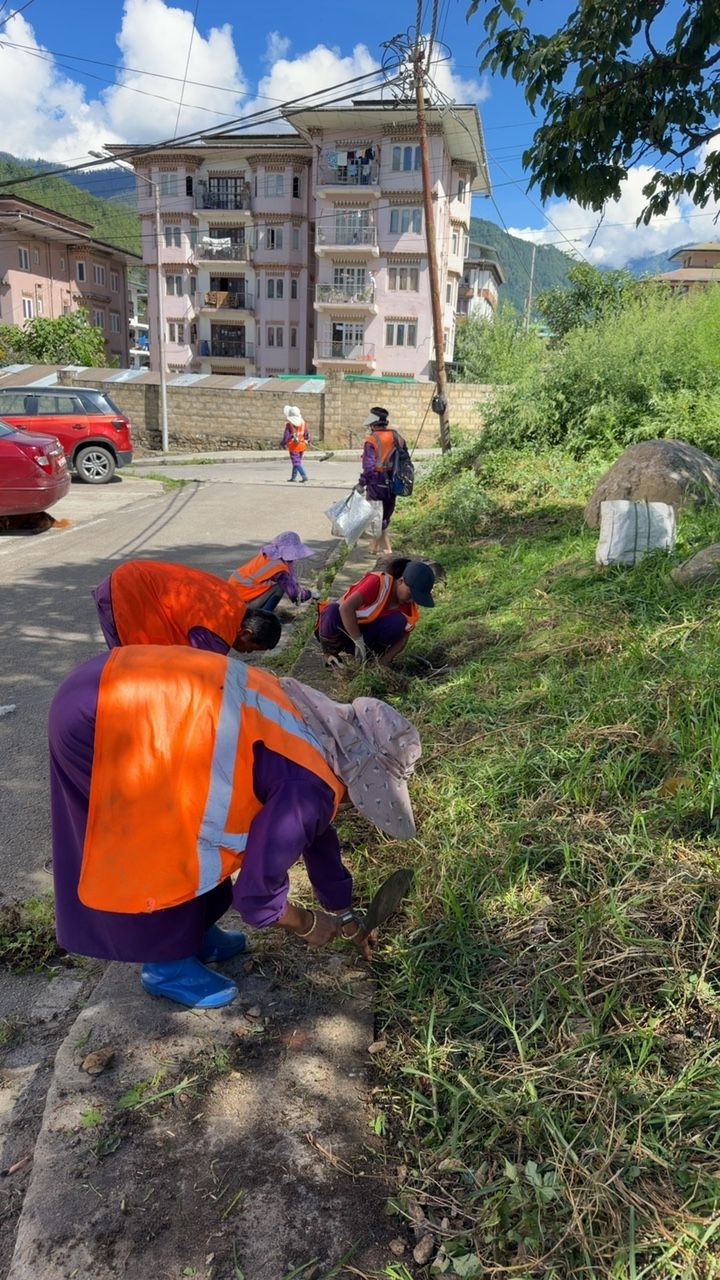 During cleaning photo