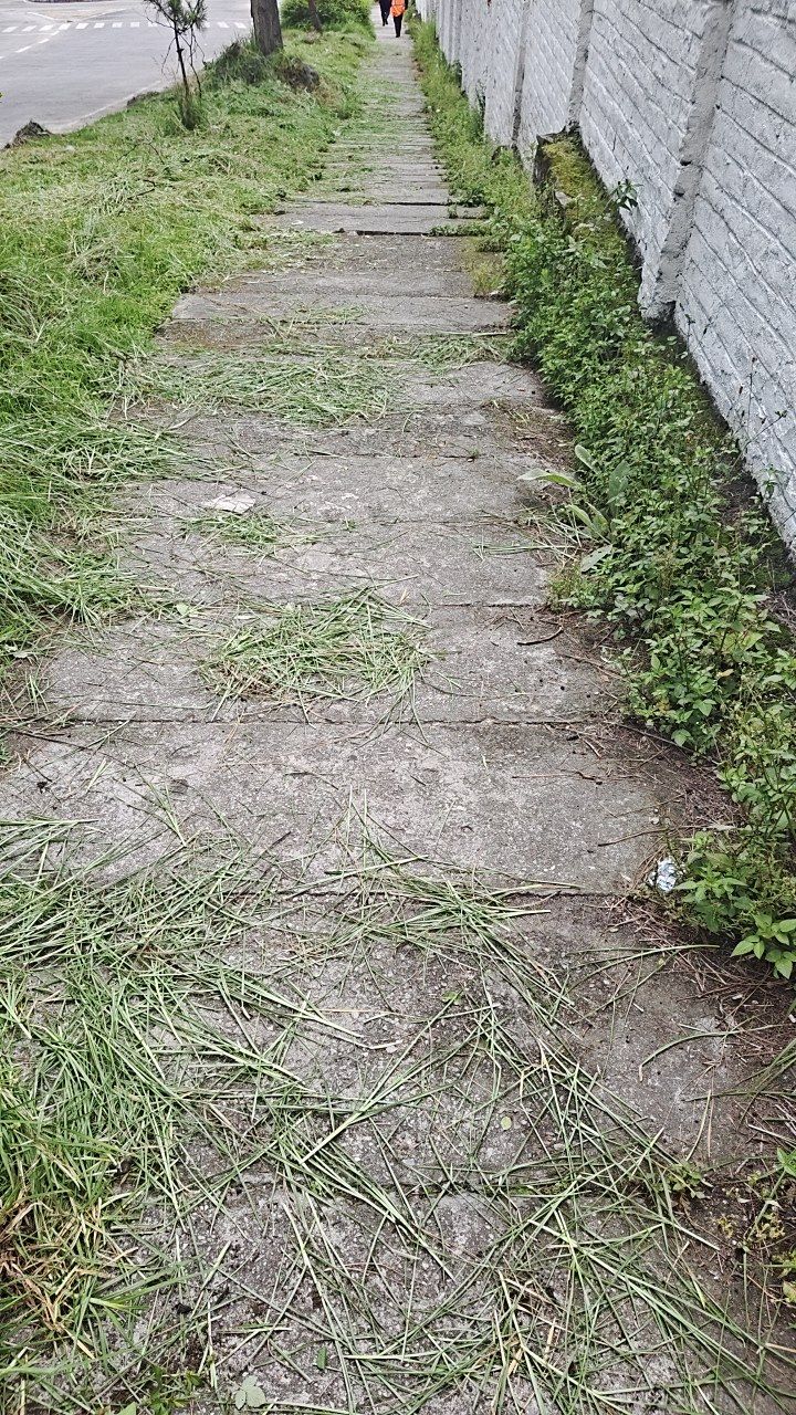 Before cleaning photo