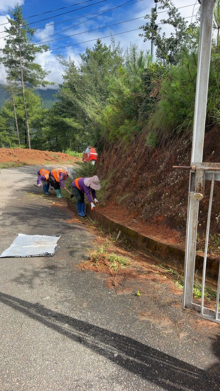 During cleaning photo