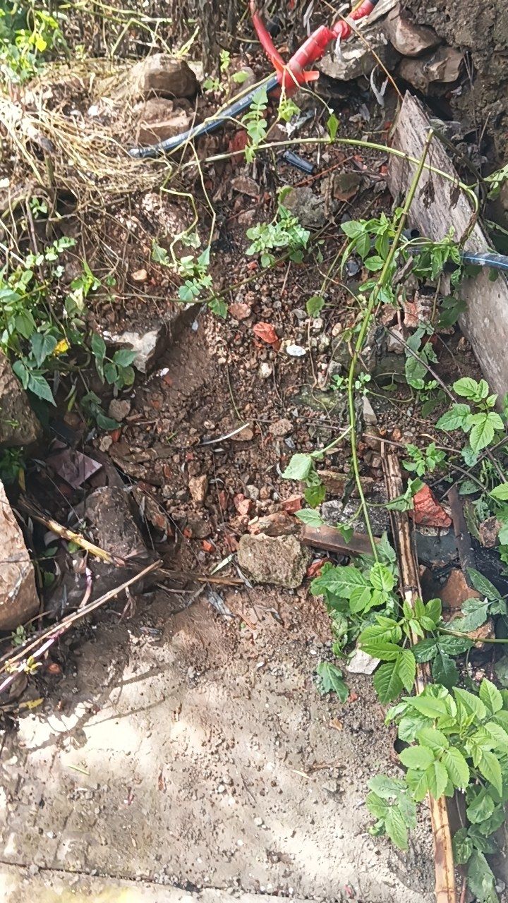 After cleaning photo