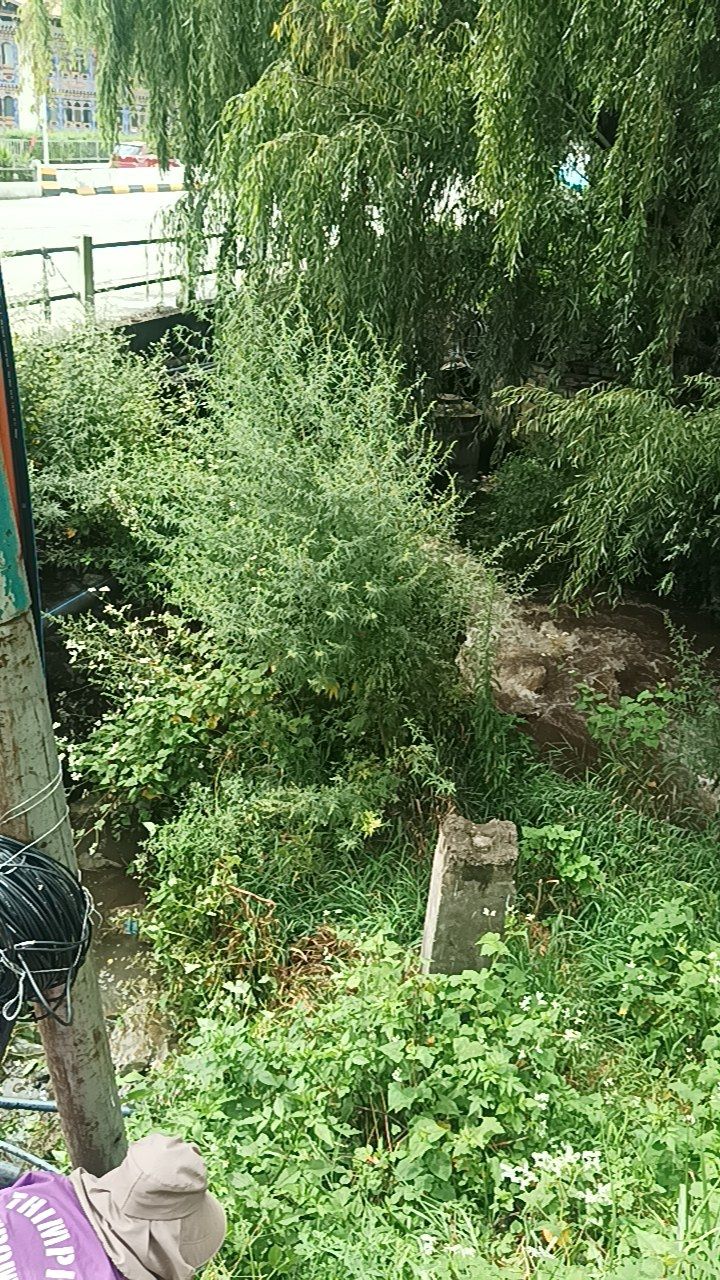 Before cleaning photo