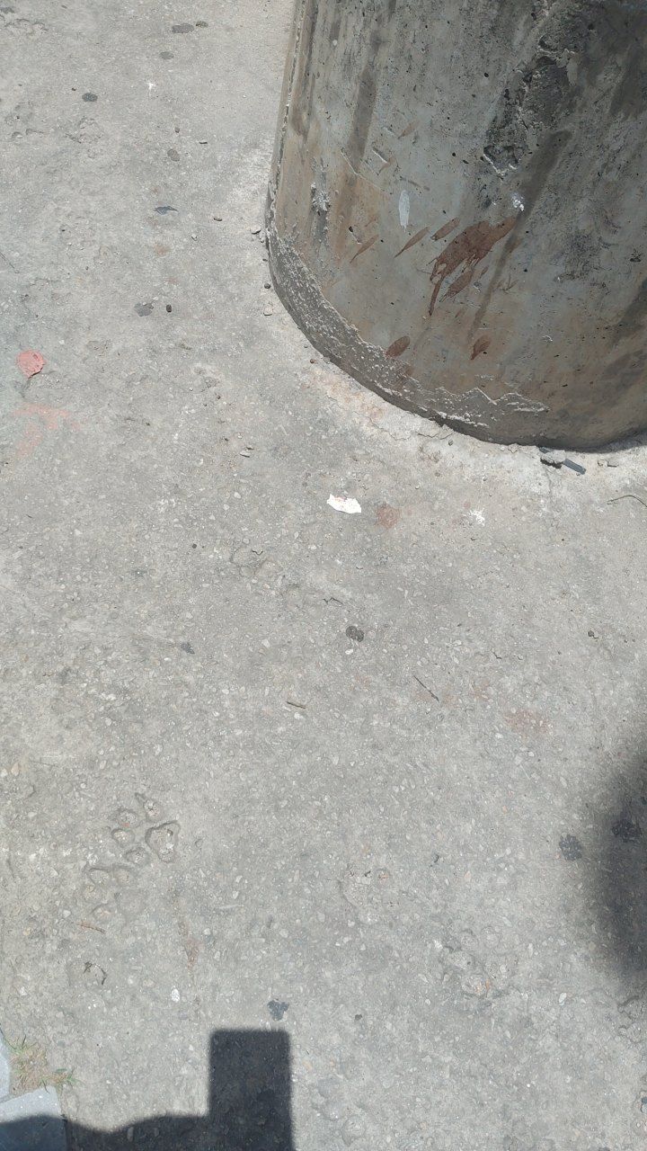 After cleaning photo