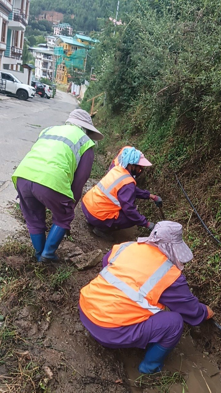 During cleaning photo