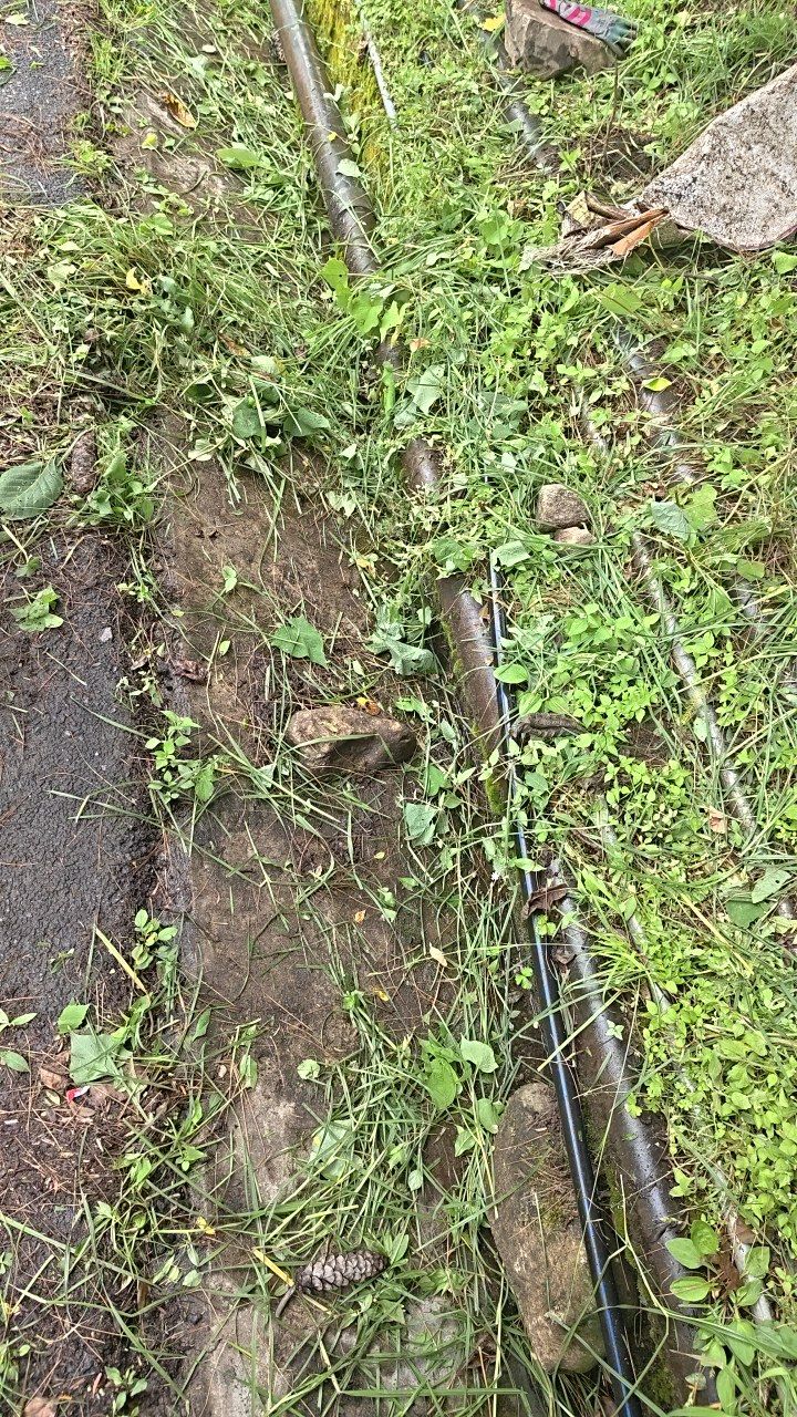 Before cleaning photo