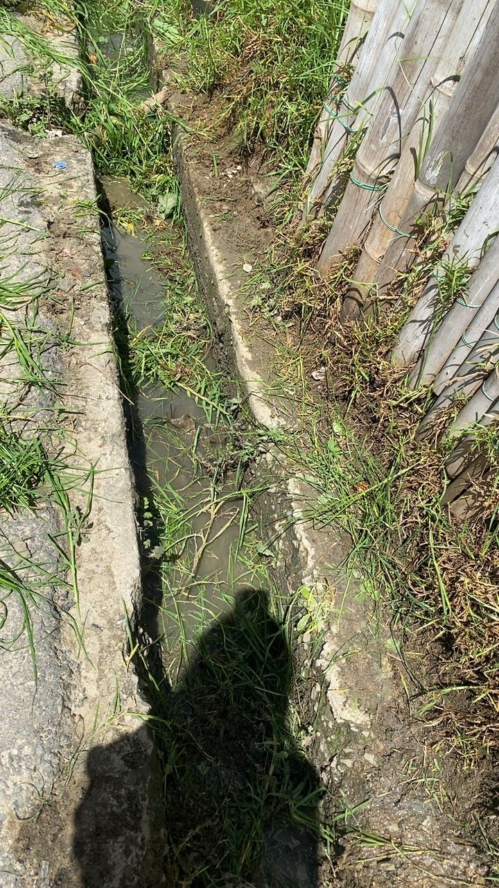 Before cleaning photo