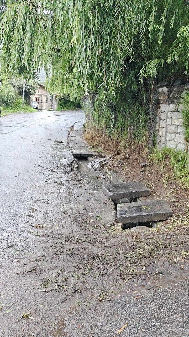 After cleaning photo
