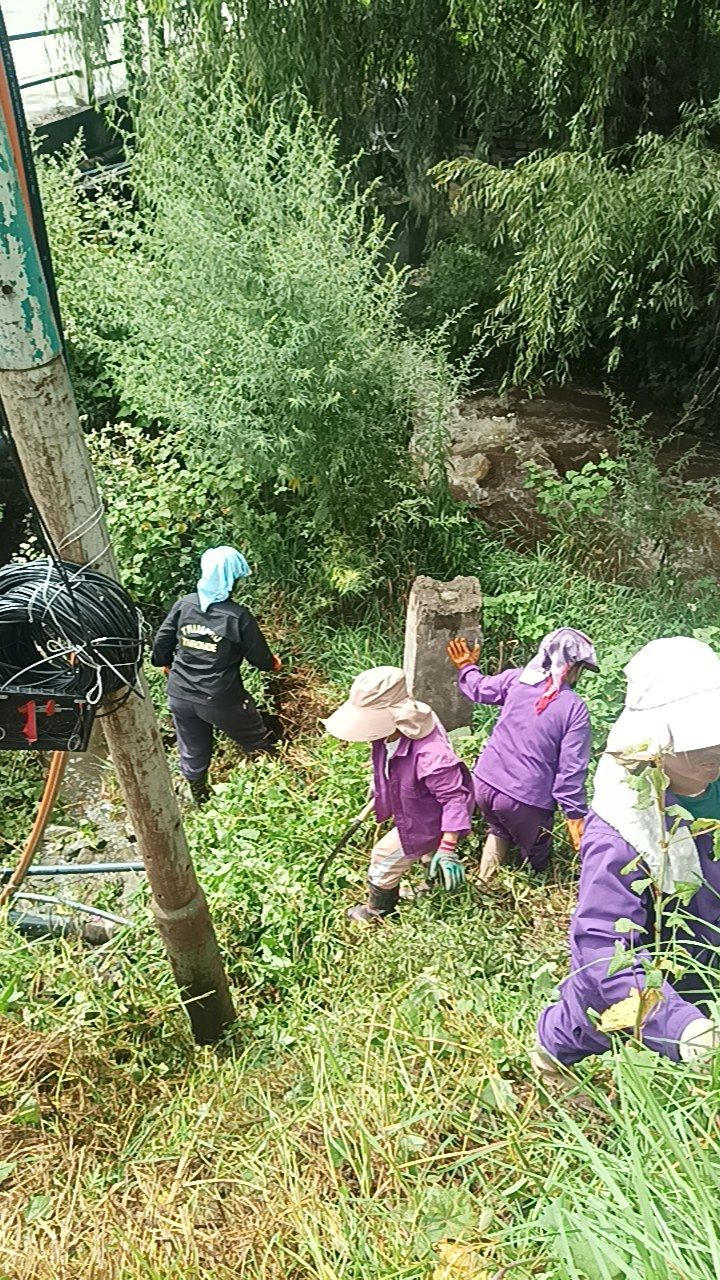During cleaning photo