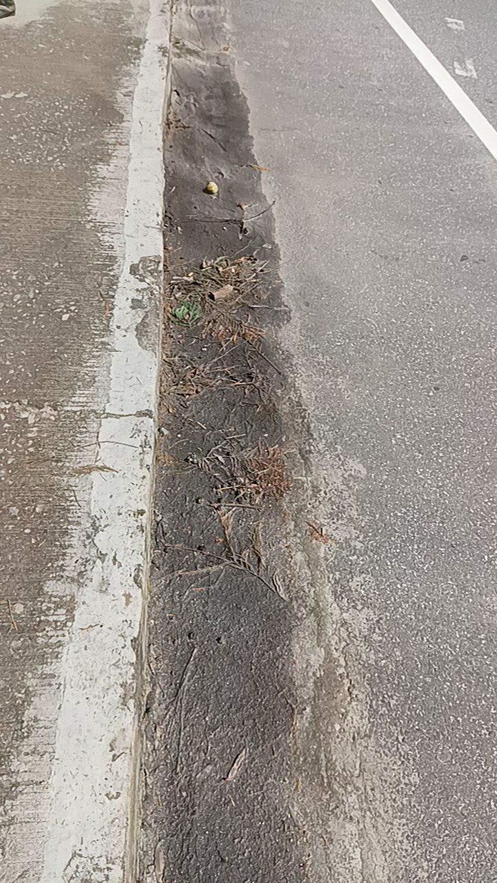 Before cleaning photo