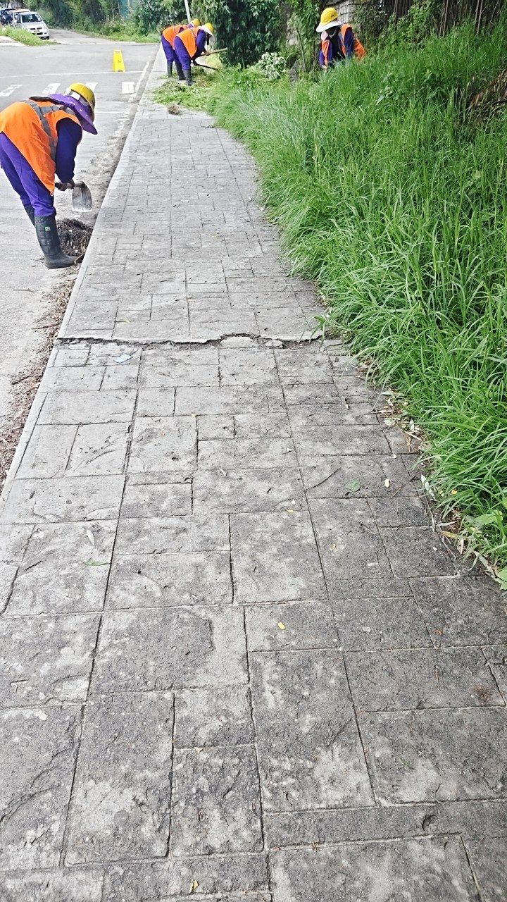 Before cleaning photo
