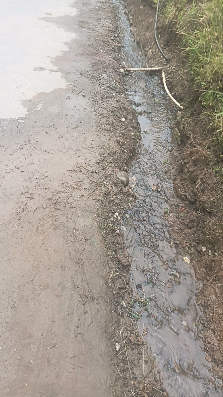After cleaning photo