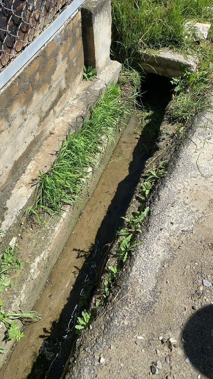 Before cleaning photo