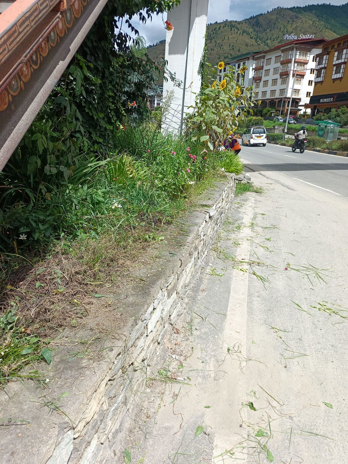 After cleaning photo
