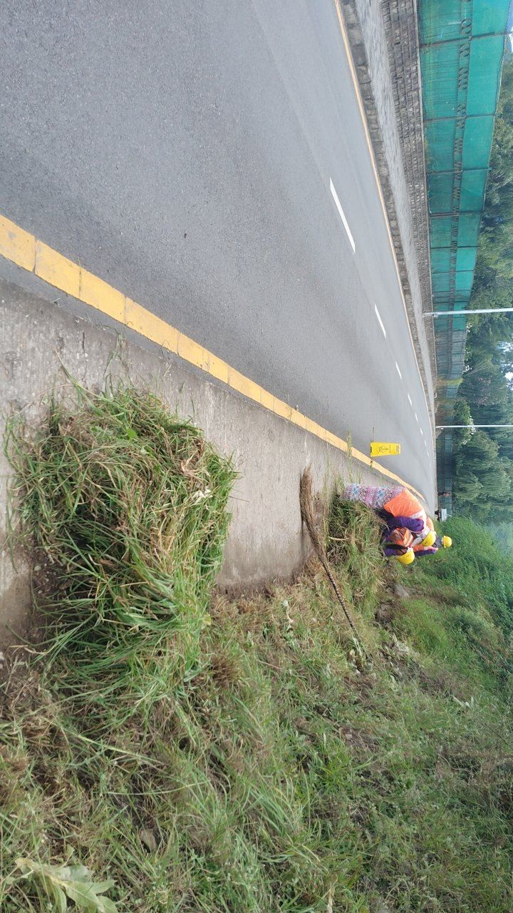 During cleaning photo