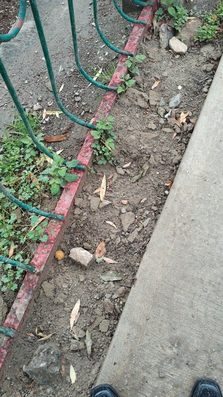 After cleaning photo