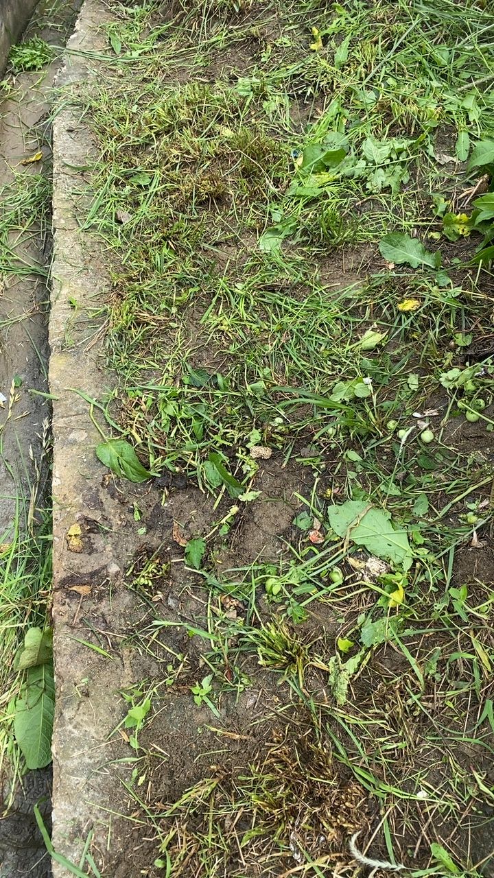 After cleaning photo