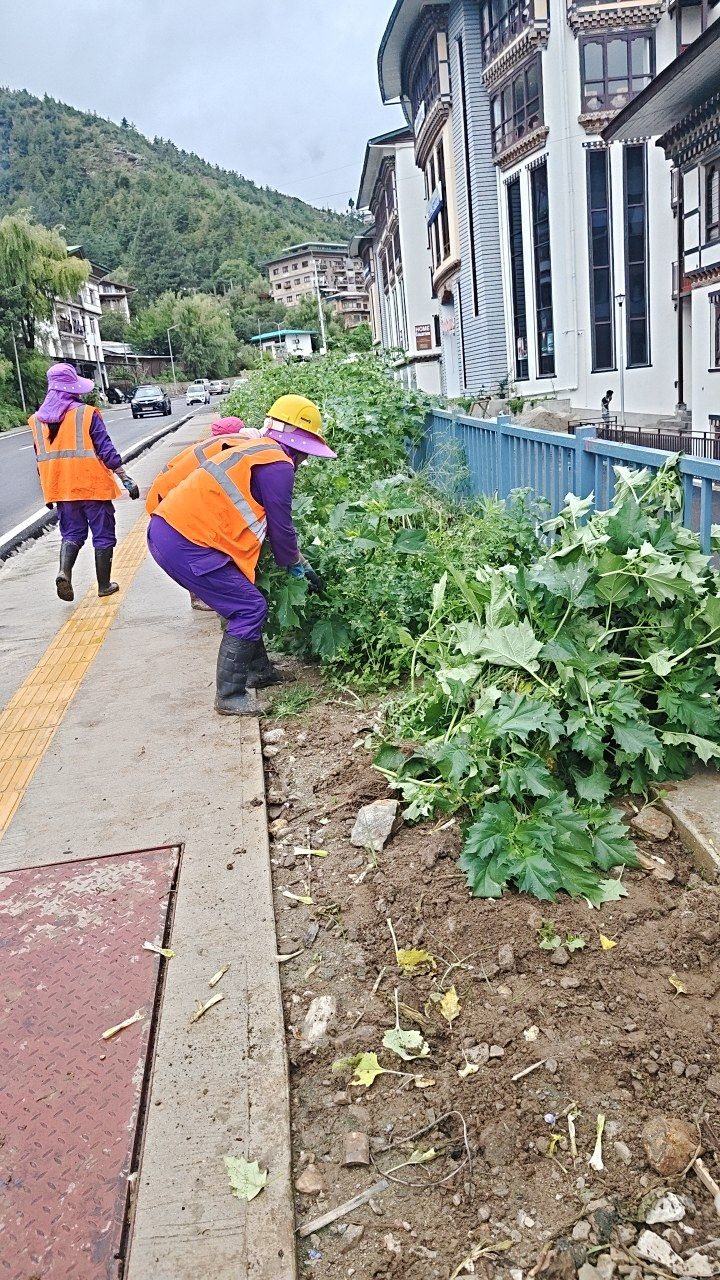 During cleaning photo
