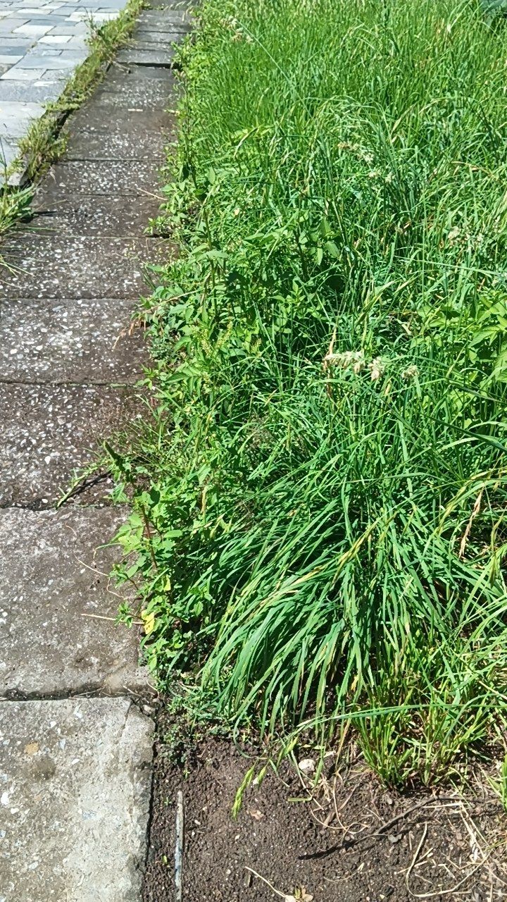 Before cleaning photo
