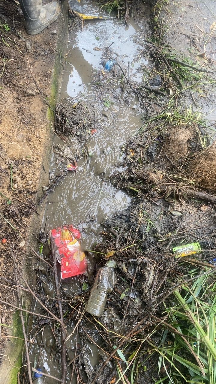 Before cleaning photo
