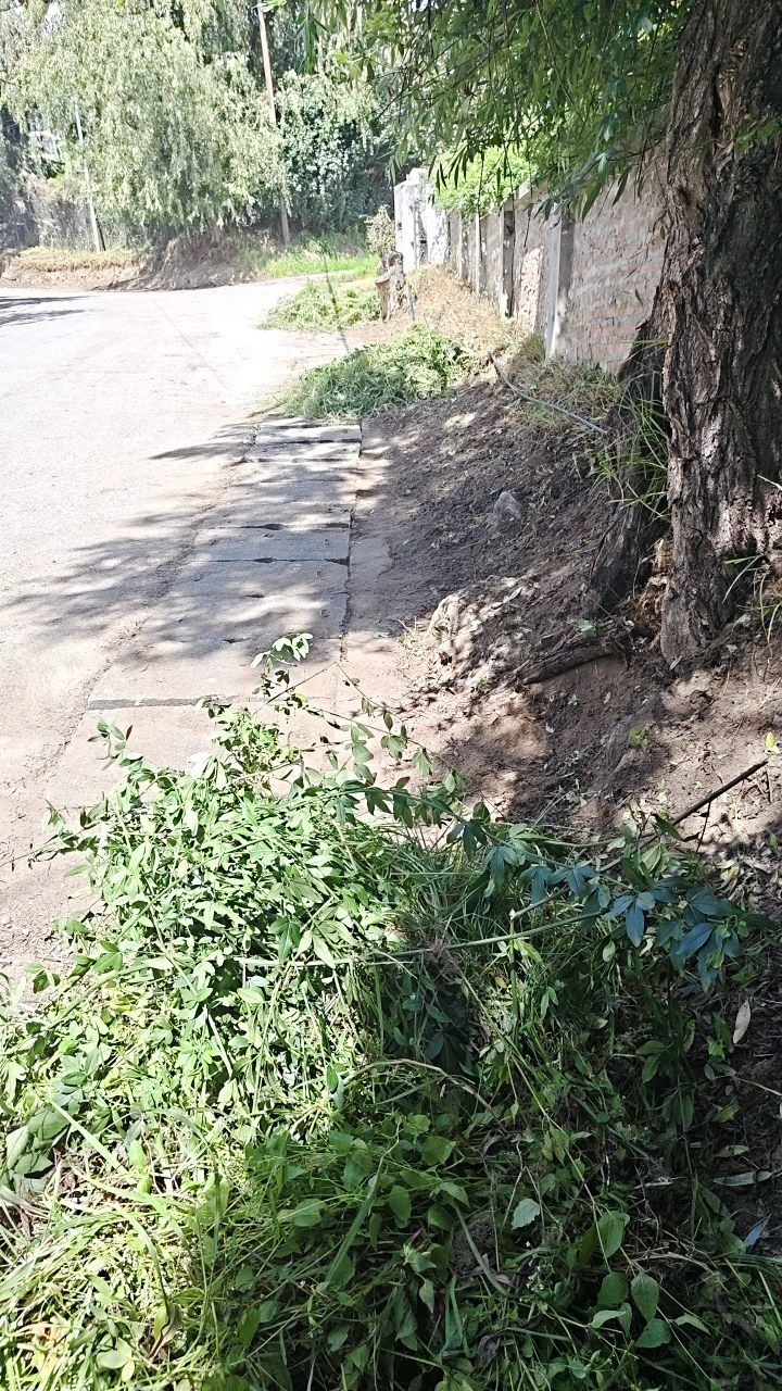After cleaning photo