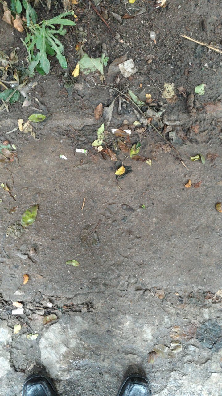 After cleaning photo