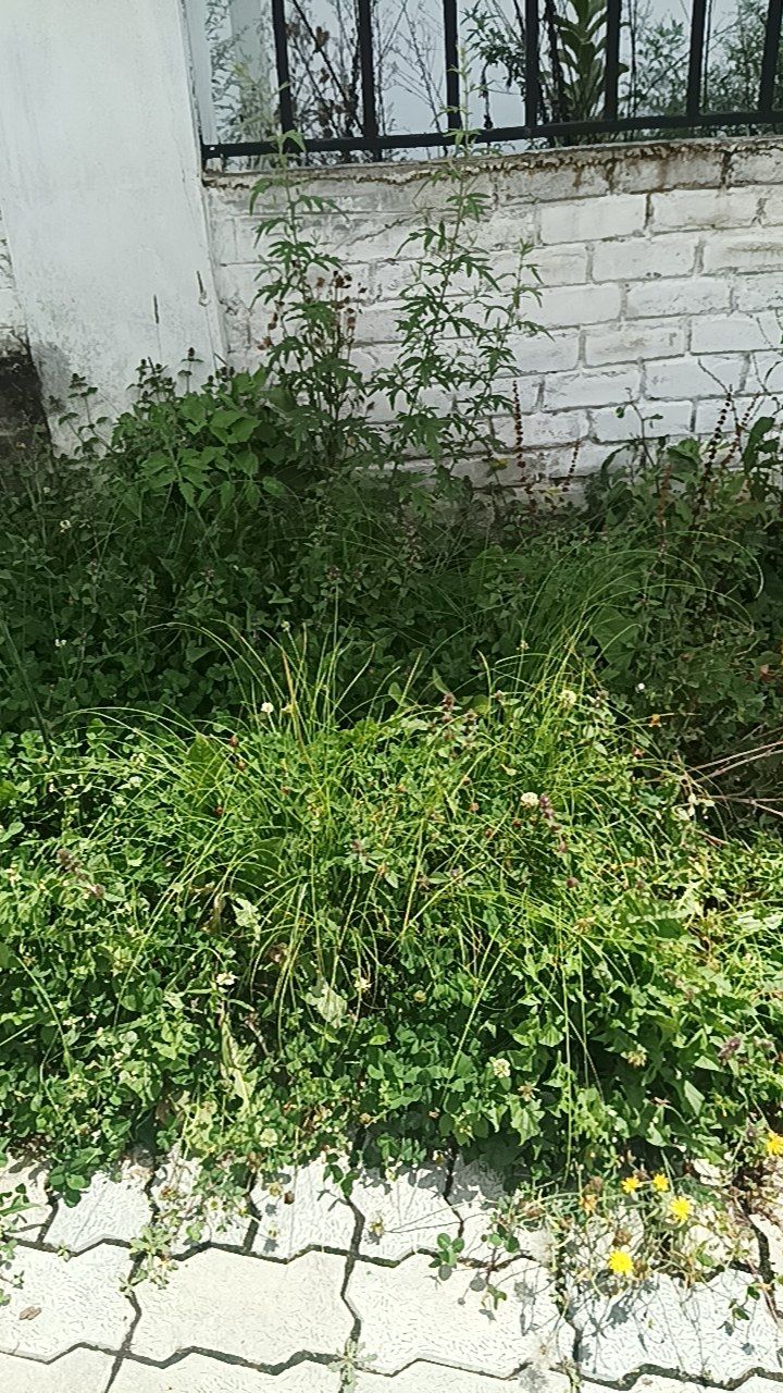 During cleaning photo